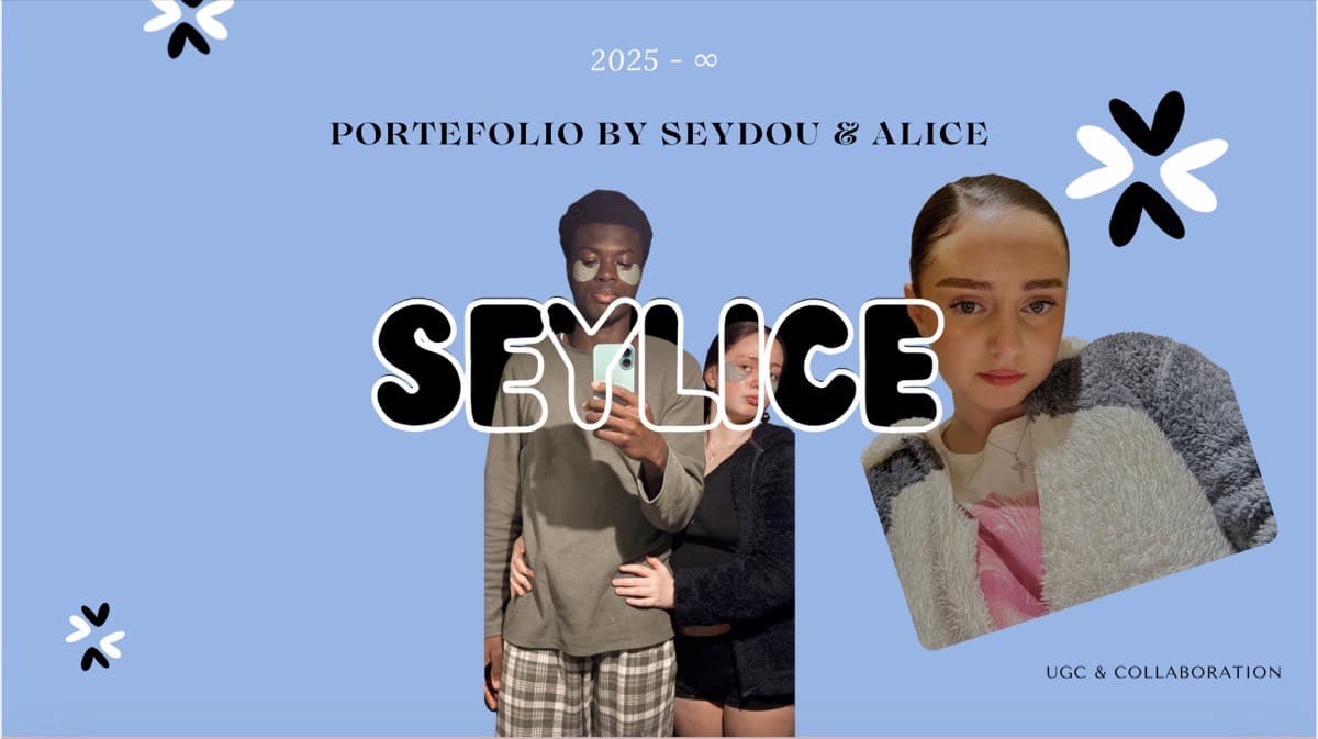 Projet Seylice